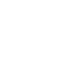 Rayon Lab Tech LOGO